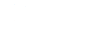 شريك 2