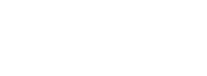 شريك 13