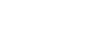 شريك 29