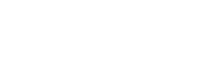 شريك 31