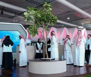 سيتي سكيب
