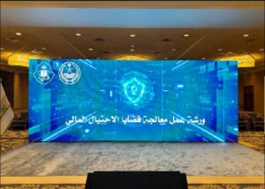 Financial Fraud Issues Workshop